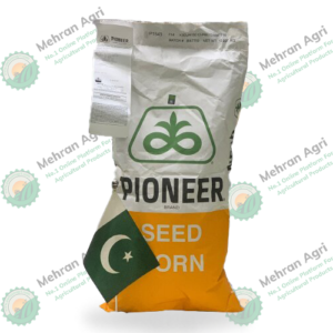 pioneer seed corn