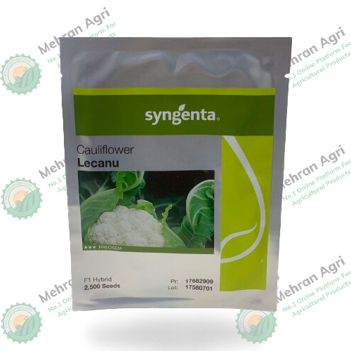 Lecanu 2500 Seeds F1 Hybrid Cauliflower
