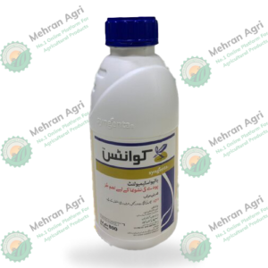 Quantis 800ml