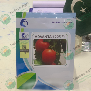 Tomato Advanta 1225 F1 Ici Pakistan 10gm