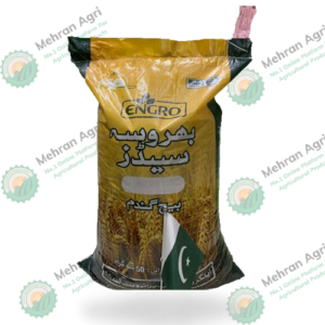 engro seeds top quality seed