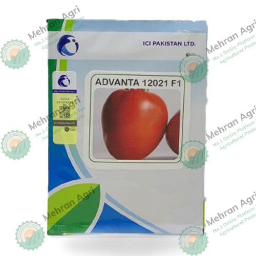 Tomato Advanta 12021 F1 Hybrid 10 Gms Ici