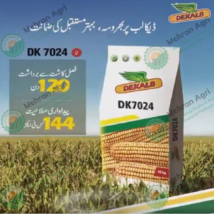 Dk 7024 Hybrid Corn Seed 10kg