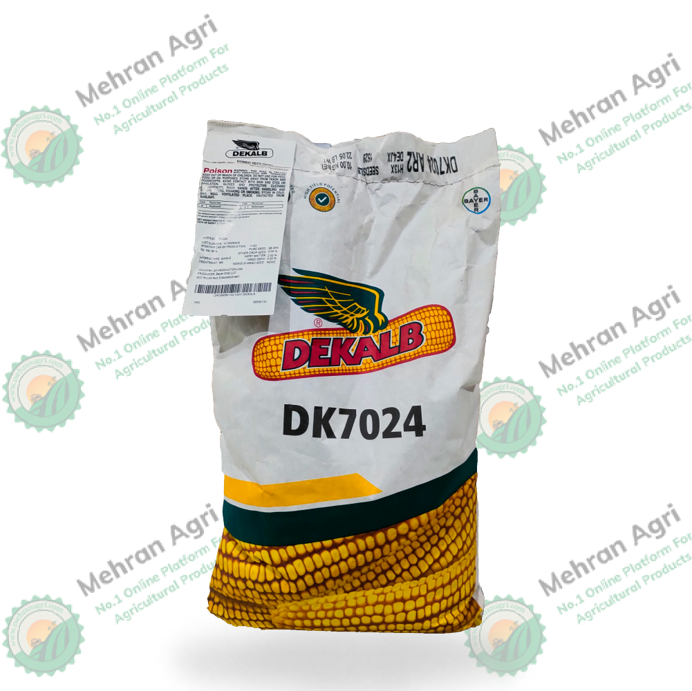 Dk 7024 Hybrid Corn Seed