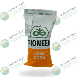 Pioneer Seed Corn P1429