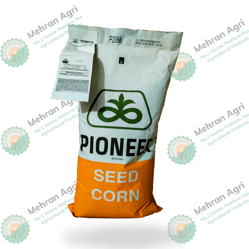 P2088 Hybrid Corn Seed