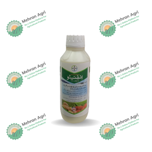 Infinito 600ml 55.6% Fungicide