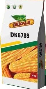 DK 6789