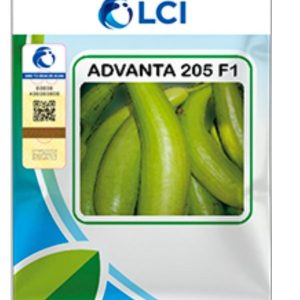 Bottle Gourd Advanta 205 F1 Ici 50gm Kadu