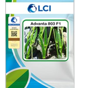 Okra 803 F1 100Gm Hybrid Seeds