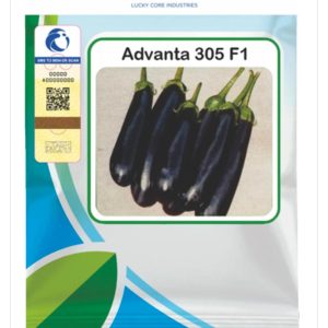 Advanta 305 Eggplant F1 – ICI Pakistan (10gm Vegetable Hybrid Seed)
