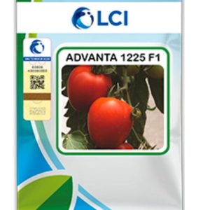 Advanta 1225 F1 – Hybrid Tomato Seed (10gm)