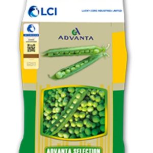  Peas Advanta Selection – Premium Vegetable Seed (Pack Size: 15 kg)