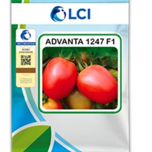 Advanta 1247 F1 – Hybrid Tomato Seed (10gm)
