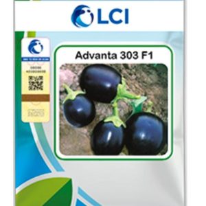 Eggplant 303 – Hybrid Brinjal Seed (10gm)