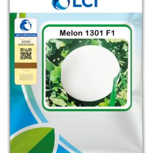 Melon 1301 – Hybrid Sweet Melon Seed (100gm)