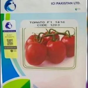 Advanta 1203 Tomato F1 – ICI Pakistan