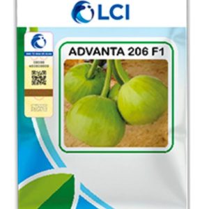 Bottle Gourd 206 – Hybrid Gol Kaddu Seed (50gm)