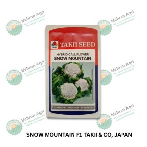 SNOW MOUNTAIN F1 – Premium Hybrid for Superior Yield & Quality