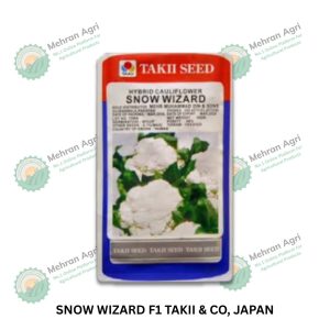 SNOW WIZARD F1 – Premium Hybrid Seeds for High Yield & Market Quality