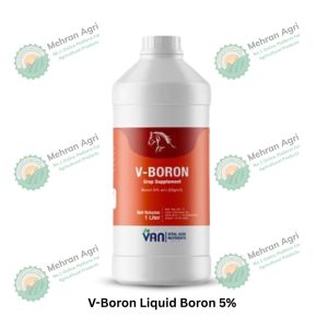 V-Boron-1 liter