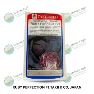RUBY PERFECTION F1 – Premium Hybrid Seeds for High Yield & Quality
