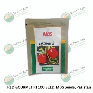 Red Gourmet F1 Hybrid Tomato – High Yield & Premium Quality Seeds(MDS SEEDS)