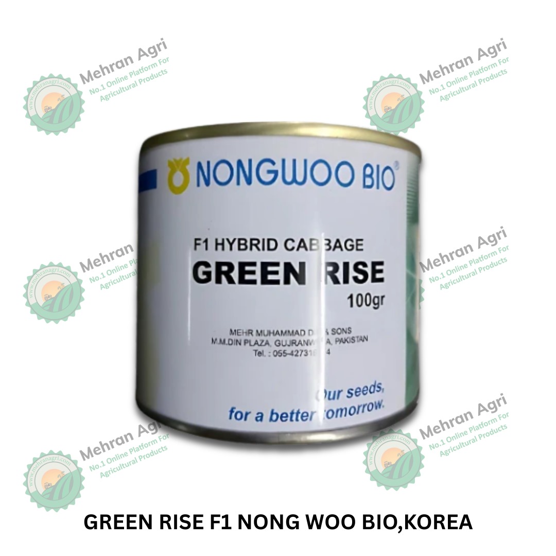 Green Rise F1 Hybrid Cabbage – High Yield, Quality Seeds (Nong Woo Bio, Korea)