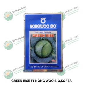 Green Rise F1 Hybrid Cabbage Seeds – Nong Woo Bio, Korea