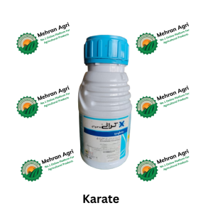 KARATE 025 EC 250ML