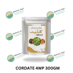 CORDATE 4WP 300GM
