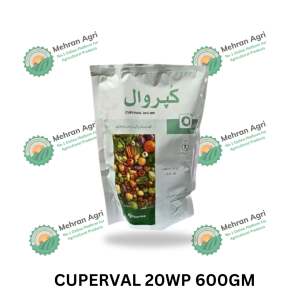 CUPERVAL 20WP 600GM