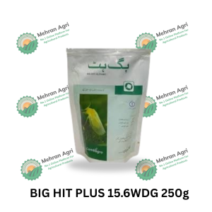 BIG HIT PLUS 15.6WDG 250gm