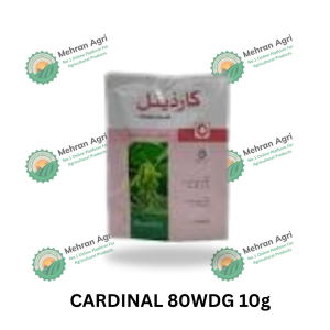 CARDINAL 80WDG 10g