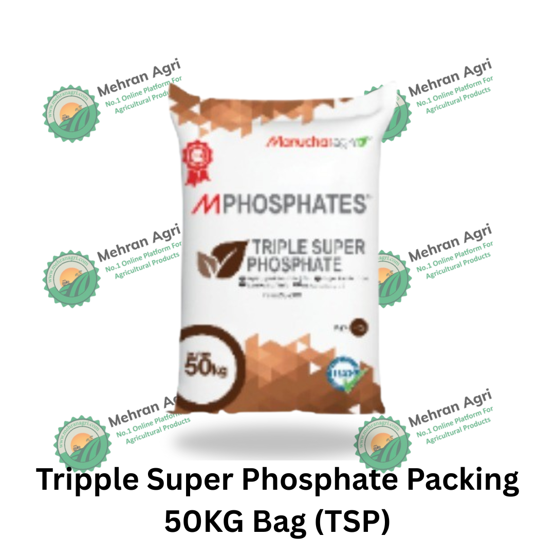 Tripple Super Phosphate Packing 50KG Bag (TSP)