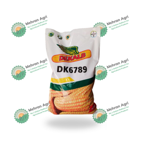 DK6789 Hybrid Corn Seed