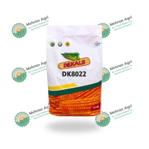 DK8022 Hybrid Corn Seed
