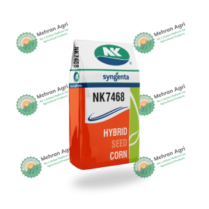 NK7468 Syngenta Hybrid Corn Seed