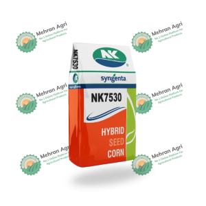 NK7530 Syngenta Hybrid Corn Seed